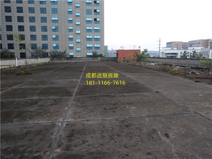 IMG_20191015_151724R.jpg
