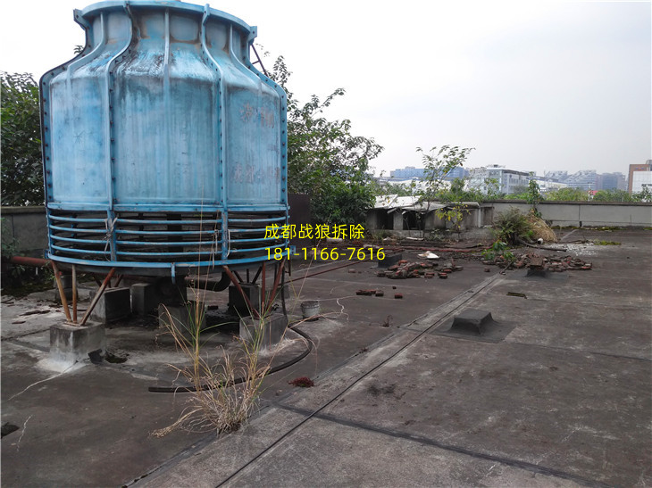 IMG_20191015_151850R.jpg